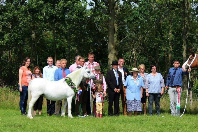 The Dragon Welsh Pony Show
Overall Supreme Champion: Ysselvliedt Sapphire
Res Champion HS My Rose